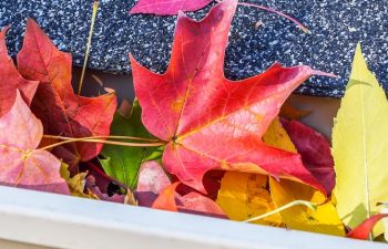 Leaves on the roof Sherrills Ford, NC