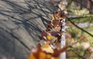 Leaves Clogging a Gutter Charlotte, NC