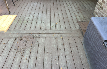 Condition of the patio before pressure washing